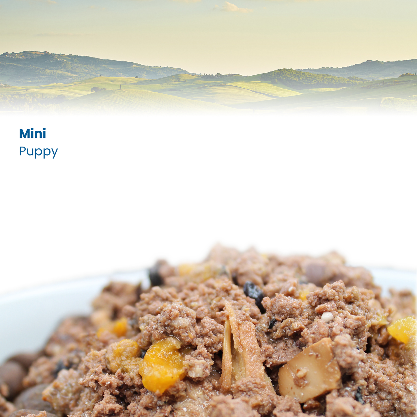N&D Prime Puppy Mini Wet Dog Food - Chicken & Pomegranate