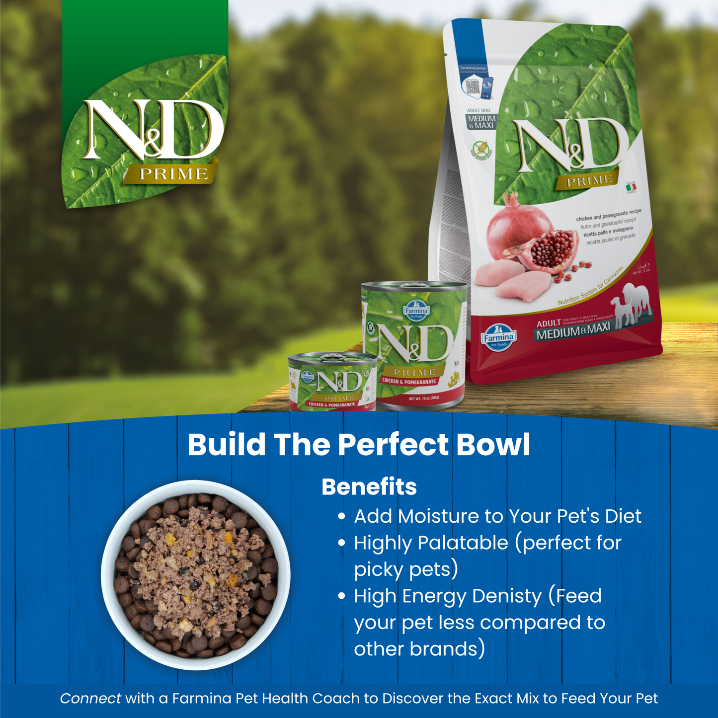 N&D Prime Adult Mini Wet Dog Food - Chicken & Pomegranate