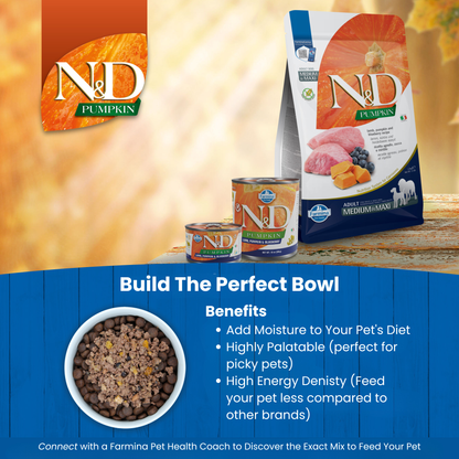 N&D Pumpkin Adult Mini Wet Dog Food - Lamb, Pumpkin & Blueberry