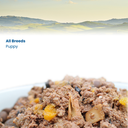 N&D Prime Puppy Wet Dog Food - Chicken & Pomegranate