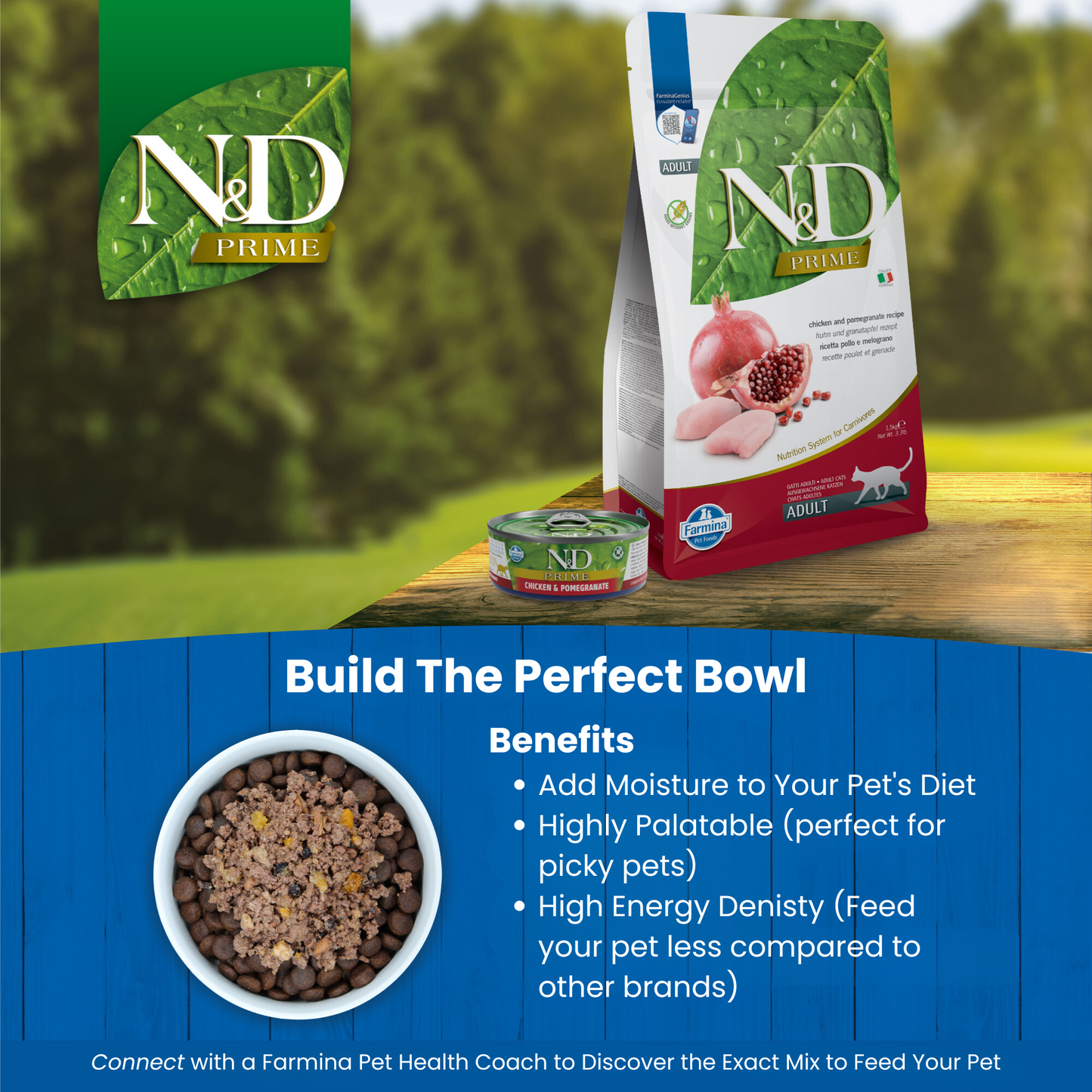 N&D Prime Kitten Wet Cat Food - Chicken & Pomegranate