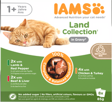 Iams Delights Adult Land Collection in Gravy Wet Cat Food