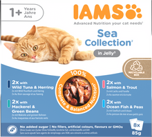 Iams Delights Adult Sea Collection in Jelly Wet Cat Food
