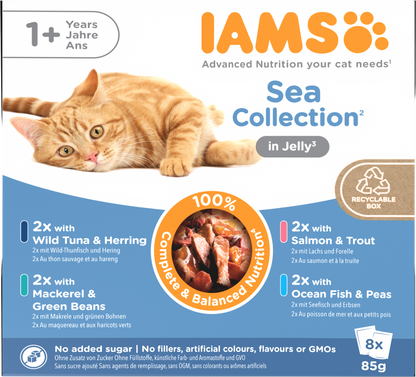 Iams Delights Adult Sea Collection in Jelly Wet Cat Food