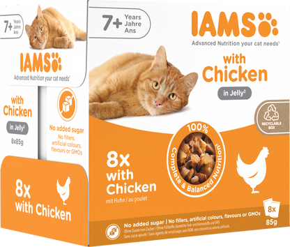Iams Delights Senior Wet Cat Food with Chicken in Jelly
