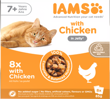 Iams Delights Senior Wet Cat Food with Chicken in Jelly