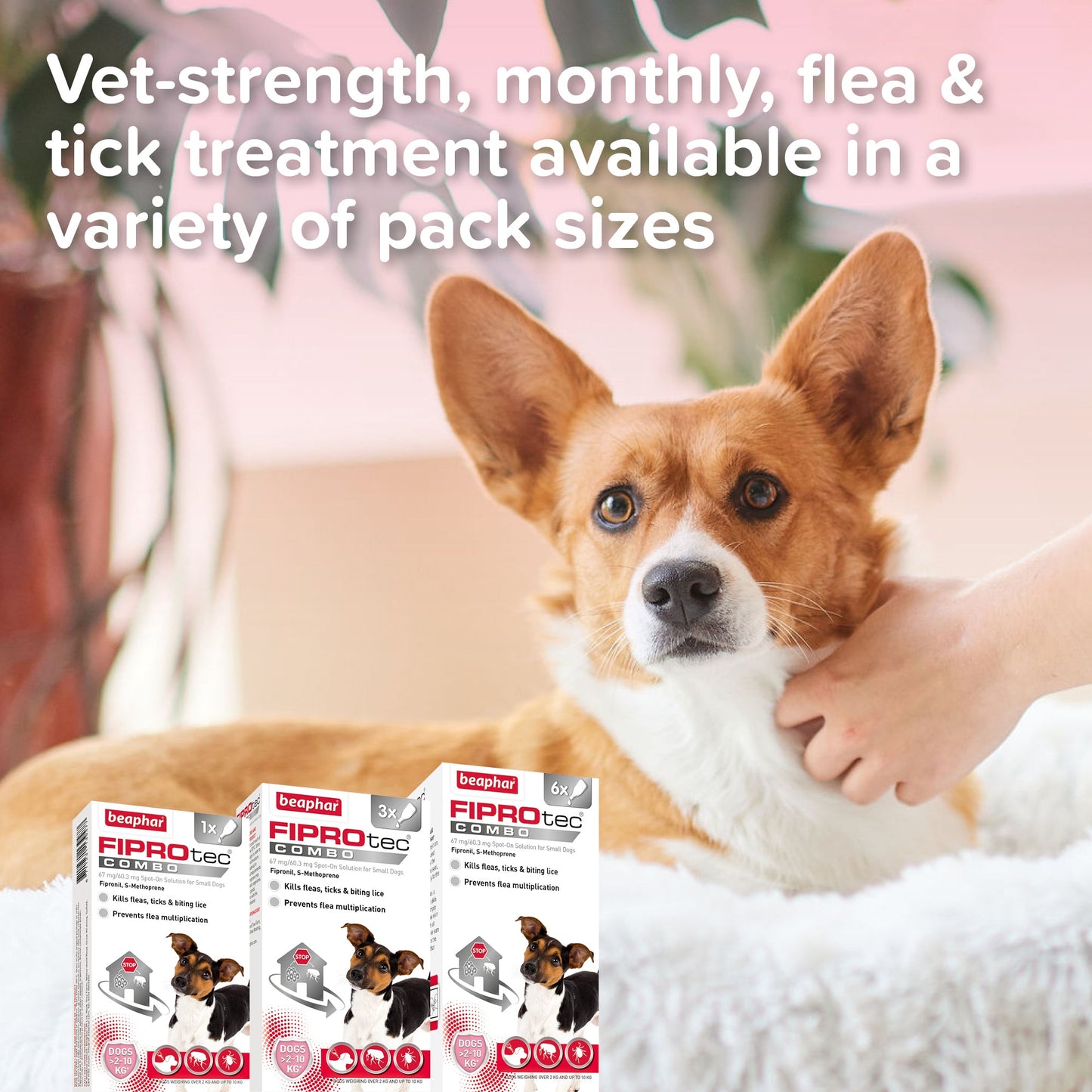 Beaphar FIPROtec Combo Flea & Tick Spot-On Solution for Small Dogs (2-10kg)