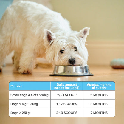 Beaphar Dental Powder for Dogs & Cats