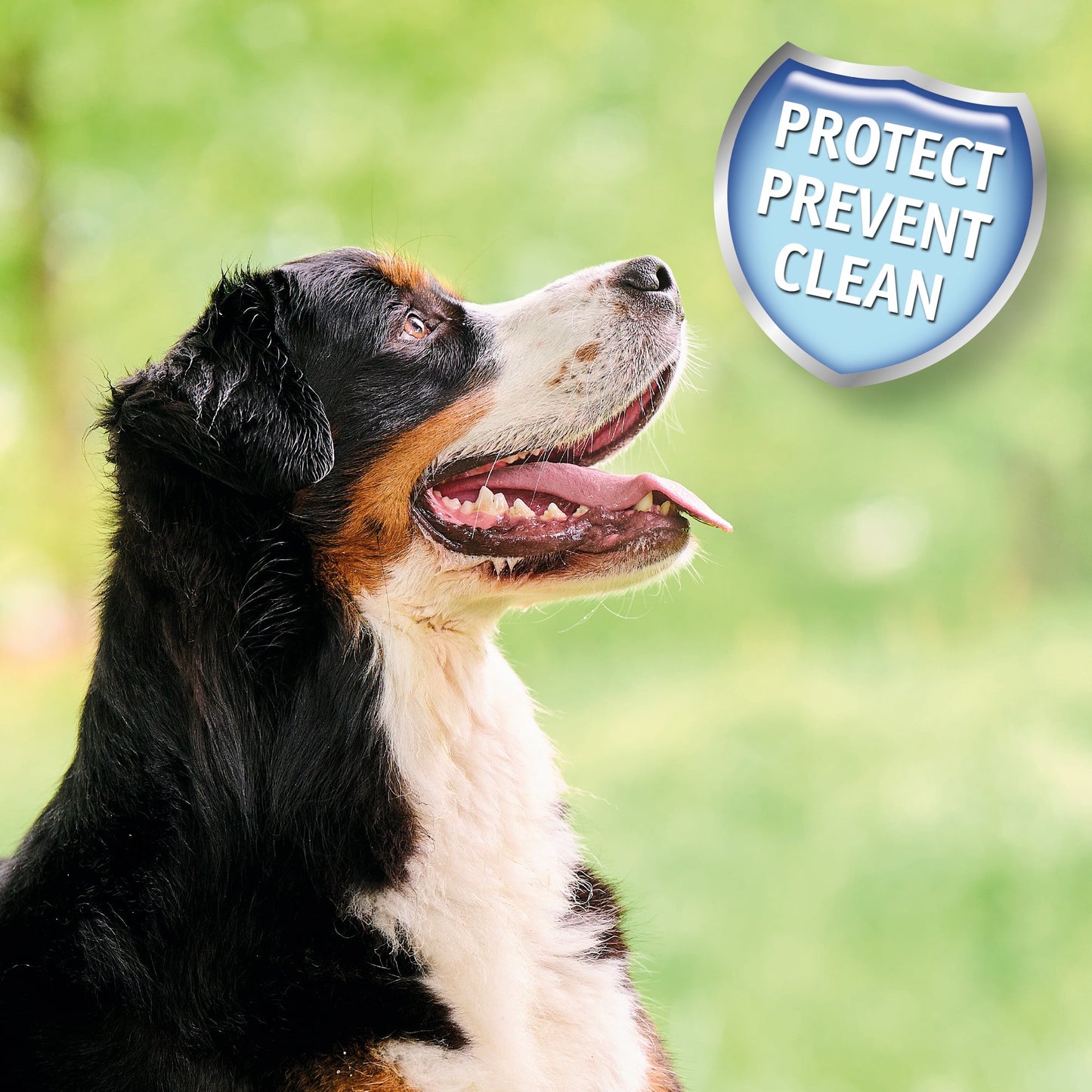 Beaphar Dental Powder for Dogs & Cats