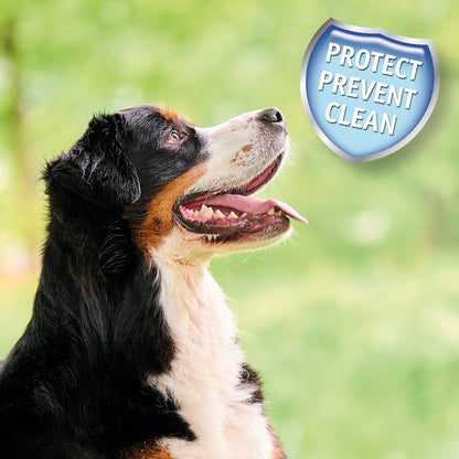 Beaphar Dental Powder for Dogs & Cats