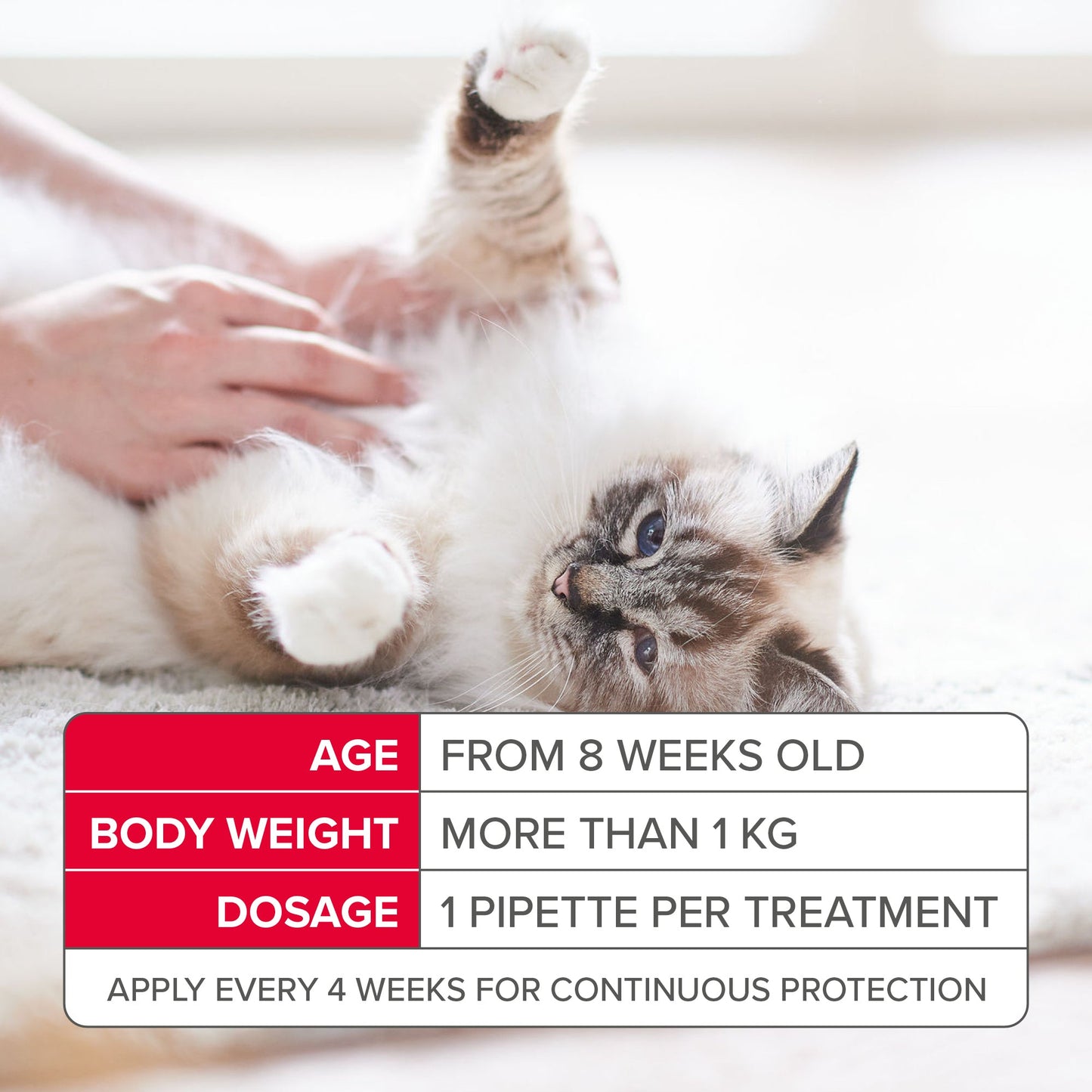 Beaphar FIPROtec Flea & Tick Spot-On Solution for Cats