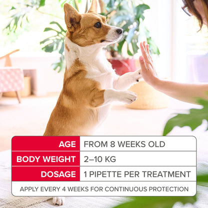 Beaphar FIPROtec Flea & Tick Spot-On Solution for Small Dogs (2-10kg)