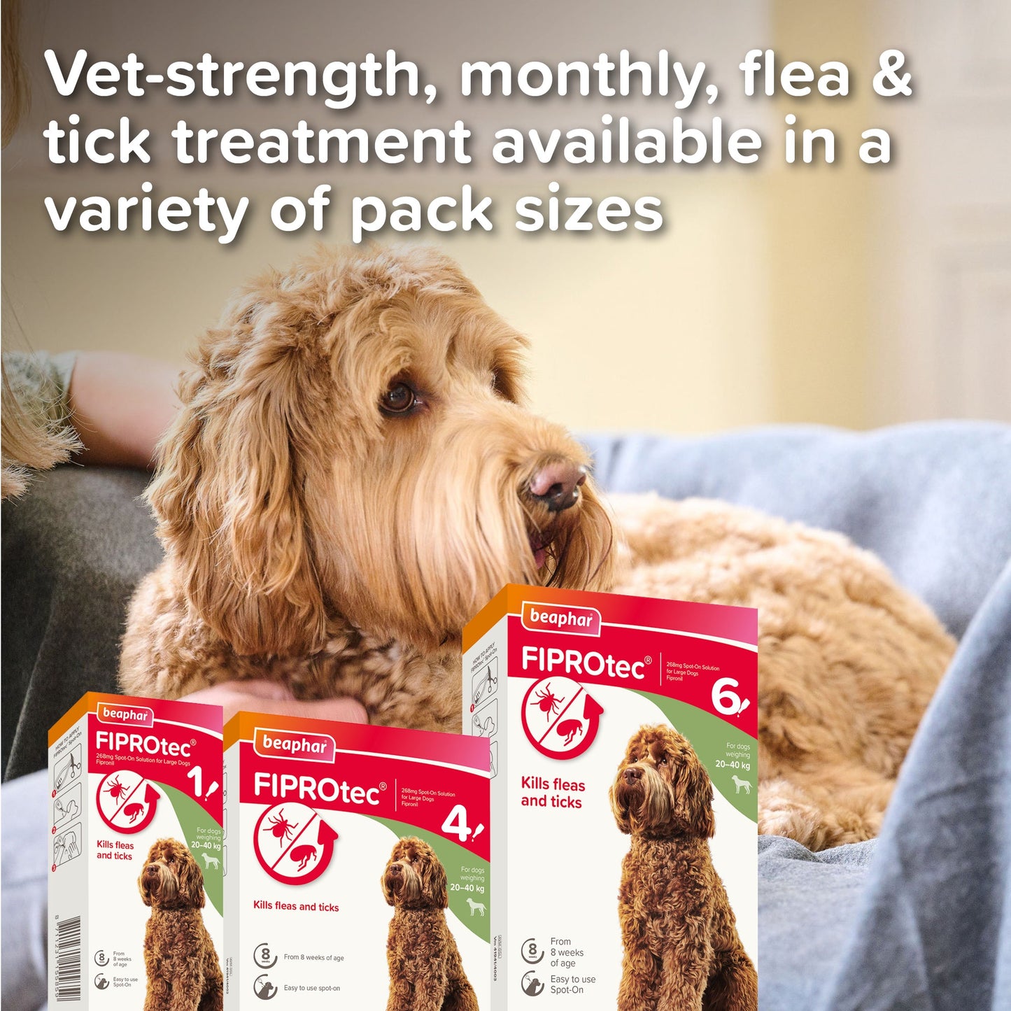 Beaphar FIPROtec Flea & Tick Spot-On Solution for Large Dogs (20-40kg)