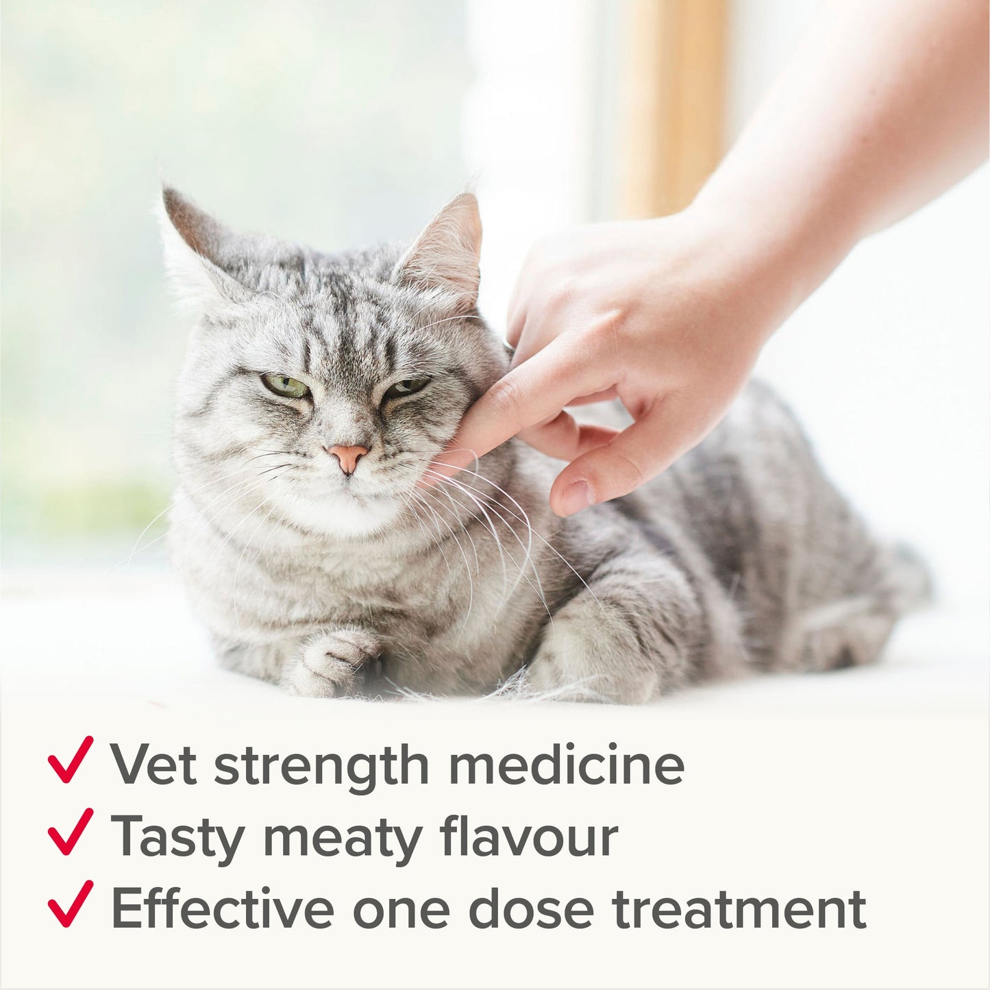 Beaphar WORMclear Tablets for Cats