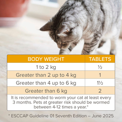 Beaphar WORMclear Tablets for Cats