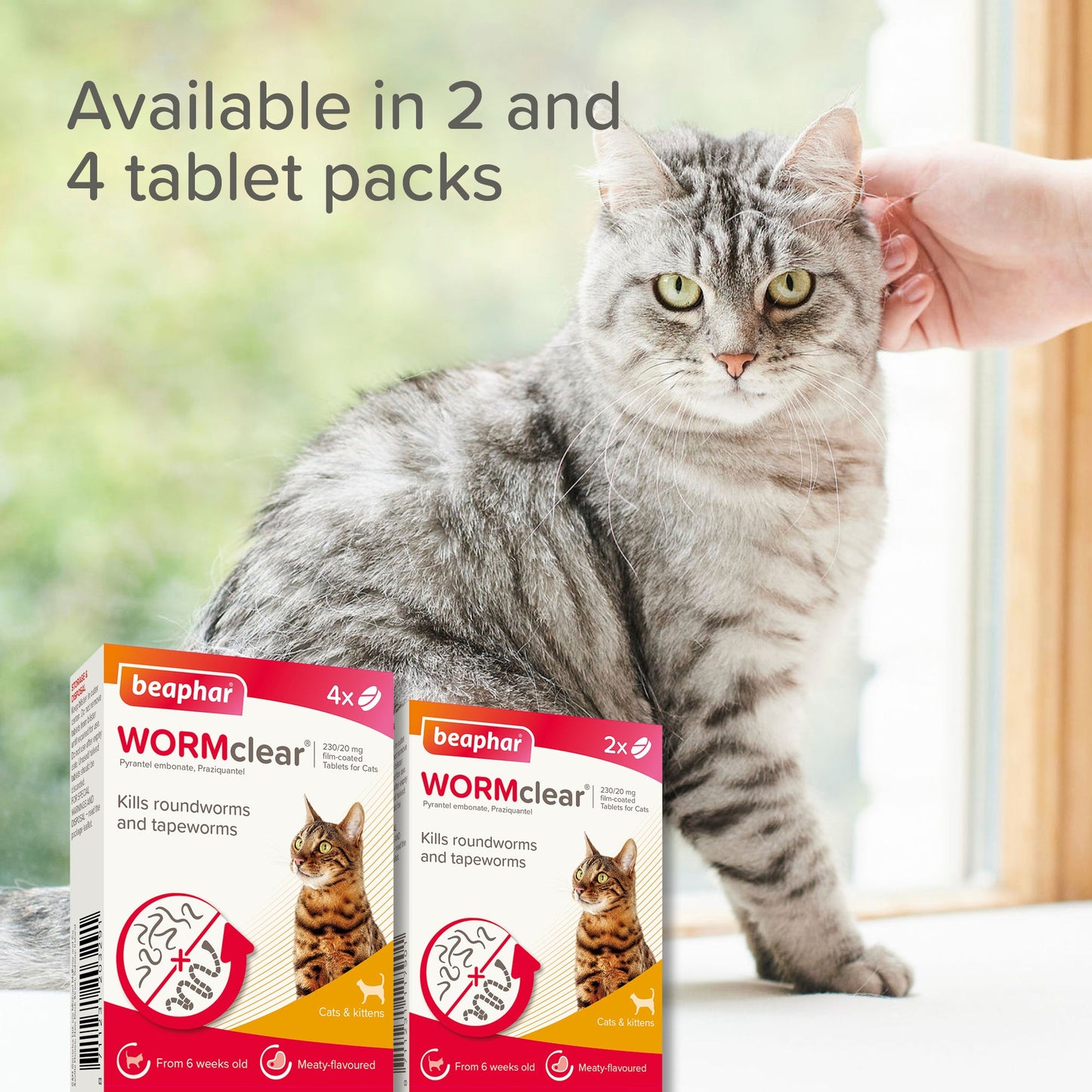 Beaphar WORMclear Tablets for Cats