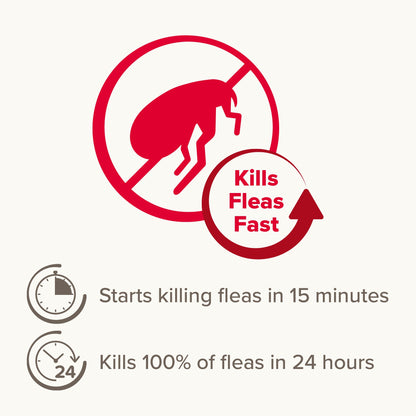 Beaphar Flea Tablets for Cats