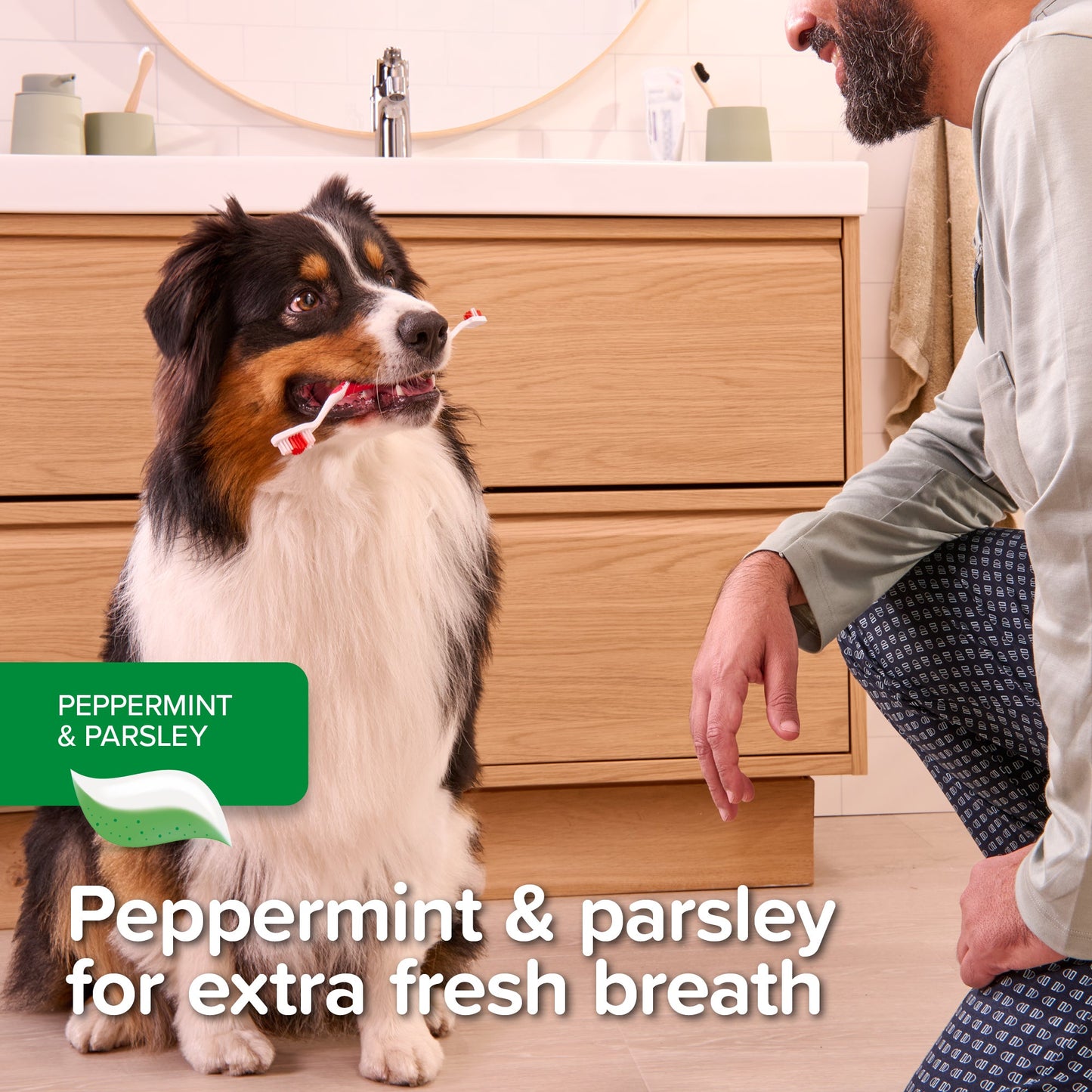 Beaphar Peppermint & Parsley Toothpaste for Dogs & Cats