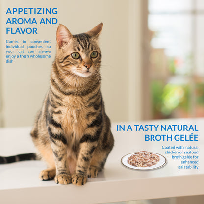 Ciao Twin Packs Wet Cat Food - Tuna & Chicken Recipe in Tuna Broth - 80 g