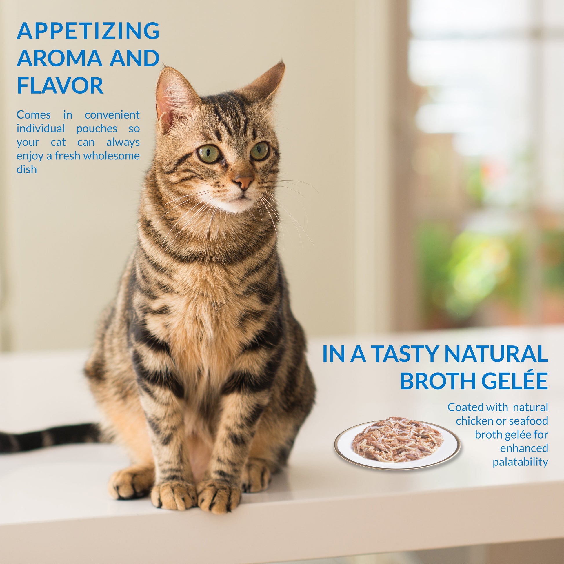 Ciao Twin Packs Wet Cat Food - Tuna & Chicken with Scallop Recipe in Scallop Broth - 80 g