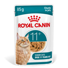 Front View of Royal Canin Ageing 11+ Senior Wet Cat Food Chunks In Jelly - 12 x 85g