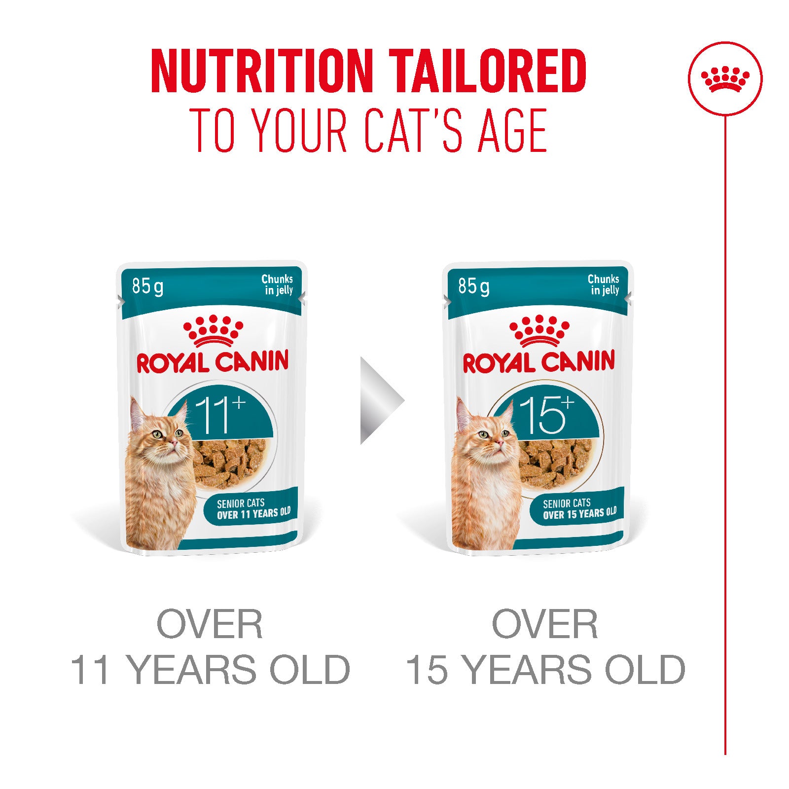Royal Canin Ageing 11+ Senior Wet Cat Food Chunks In Jelly - 12 x 85g
