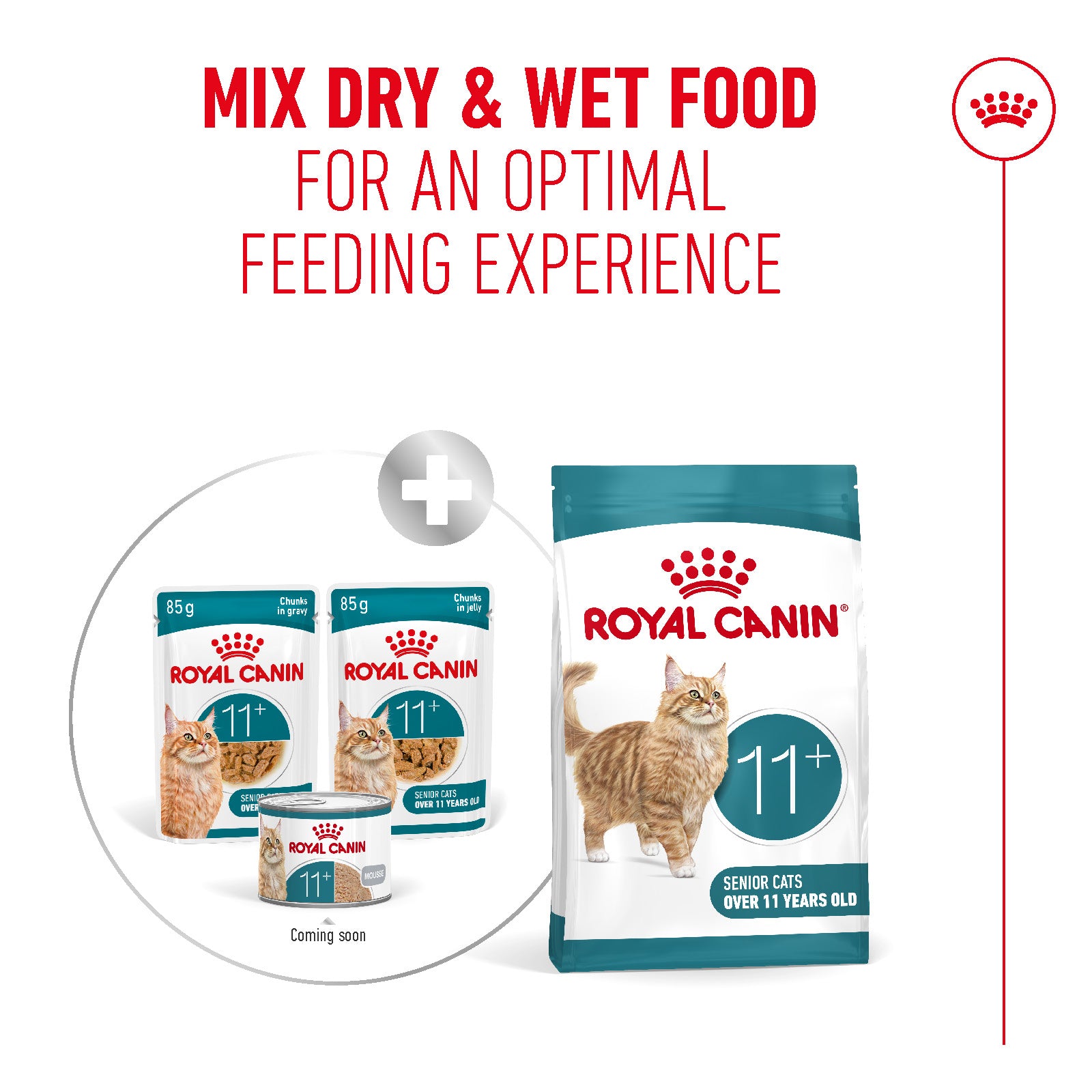 Royal Canin Ageing 11+ Senior Wet Cat Food Chunks In Gravy - 12 x 85g & 48 x 85g
