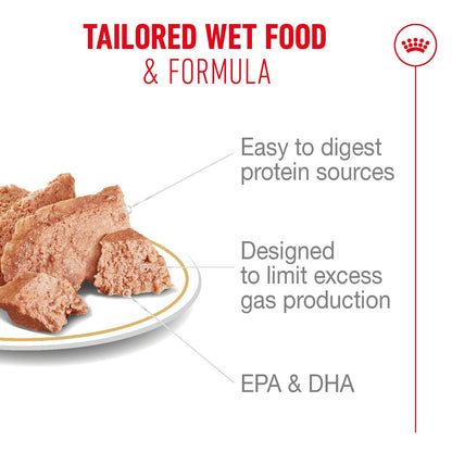 Royal Canin French Bulldog Adult Wet Dog Food