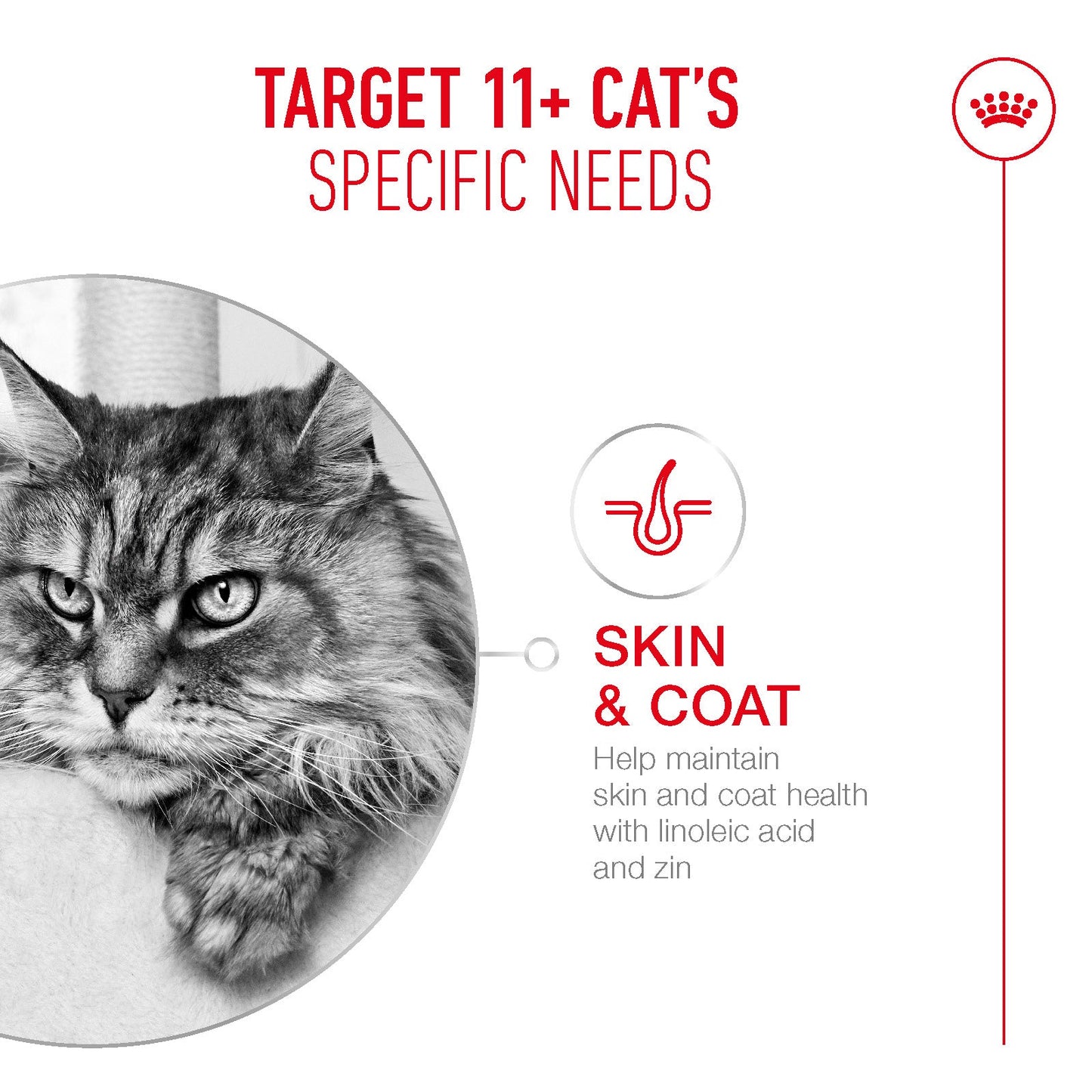 Royal Canin Ageing 11+ Senior Ultra Soft Mousse Can Wet Cat Food