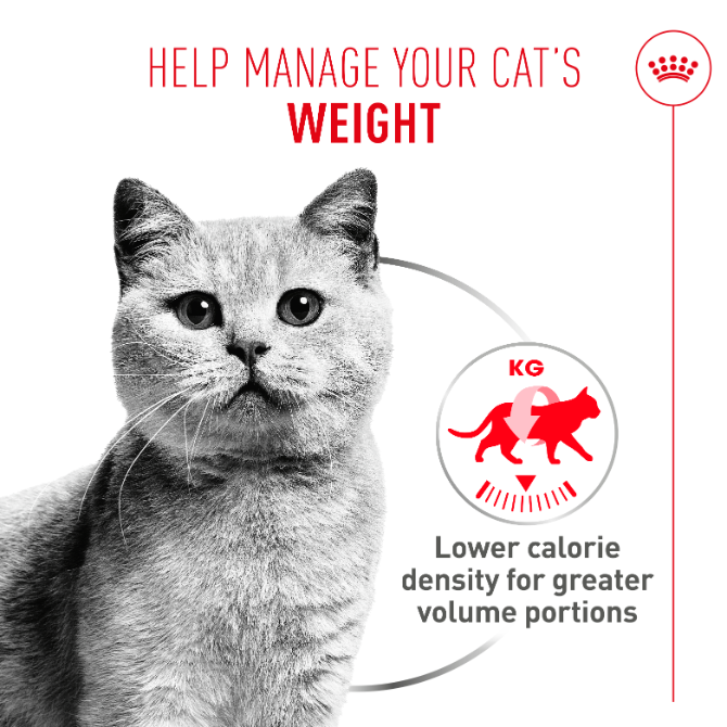 Royal Canin Light Weight Care Airlift Mousse Adult Wet Cat Food