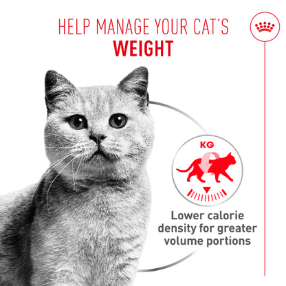 Royal Canin Light Weight Care Airlift Mousse Adult Wet Cat Food