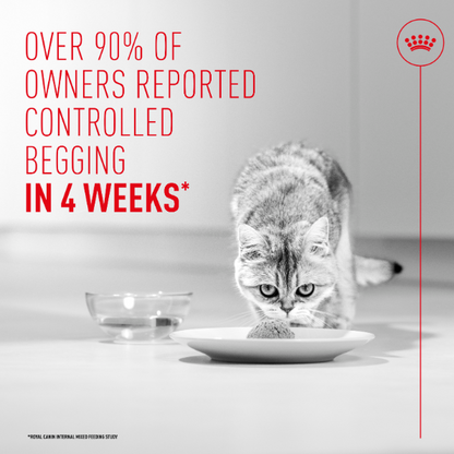 Royal Canin Appetite Control Care Airlift Mousse Adult Wet Cat Food