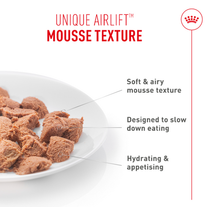 Royal Canin Digestive Care Airlift Mousse Adult Wet Cat Food