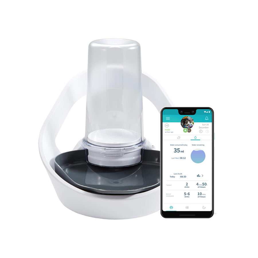 Falaqua SurePet Felaqua Connect Pet Water Bowl – Pet Supermarket