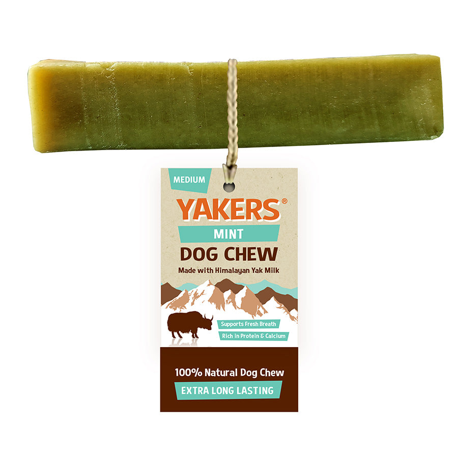 Yakers Adult Dog Chew Treats - Mint