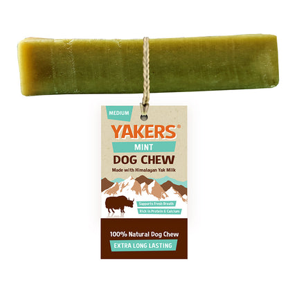 Yakers Adult Dog Chew Treats - Mint