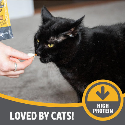 Daily Eats Crunchy Cushions Cat Treats Variety Box
