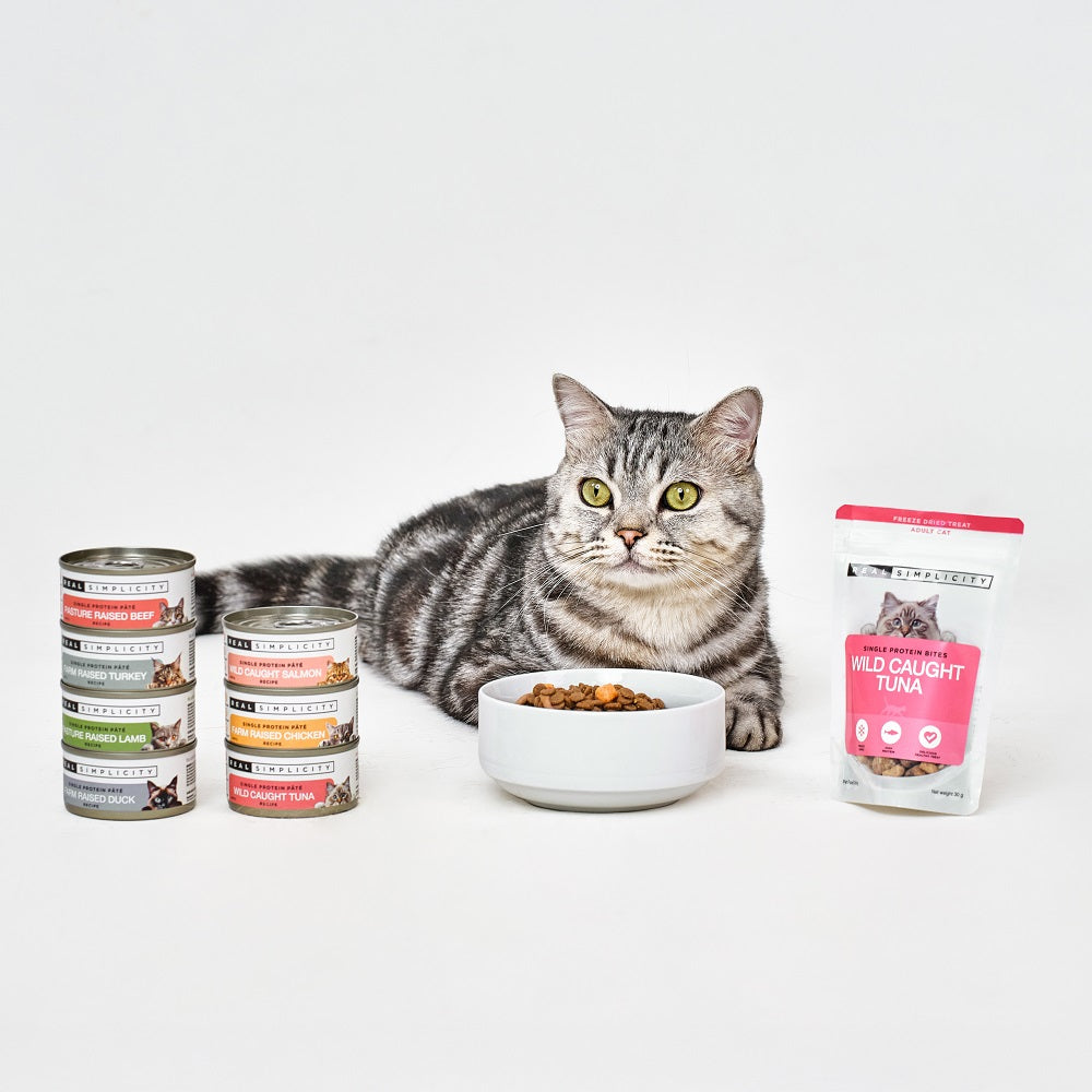 Real Simplicity Single Protein Pate Wild Caught Salmon Adult Wet Cat Food