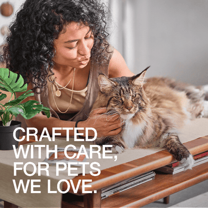 Real Simplicity Single Protein Pate Wild Caught Salmon Adult Wet Cat Food