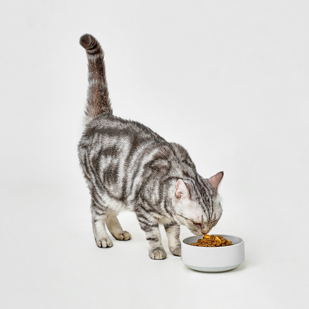 Real Simplicity Grain Free Kibble Farm Raised Chicken Adult Dry Cat Food