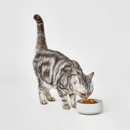 Real Simplicity Grain Free Kibble Farm Raised Chicken Adult Dry Cat Food