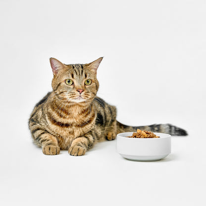 Real Simplicity Grain Free Kibble Farm Raised Chicken Adult Dry Cat Food
