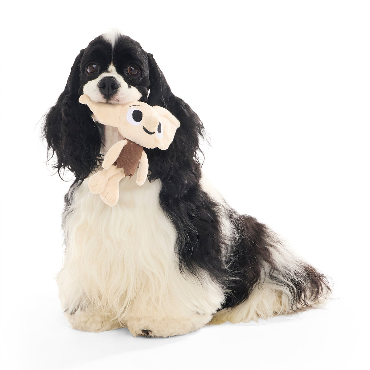 BARK X Harry Potter Dobby Dog Toy