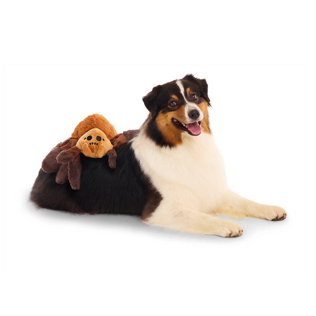 BARK X Harry Potter Aragog Dog Toy