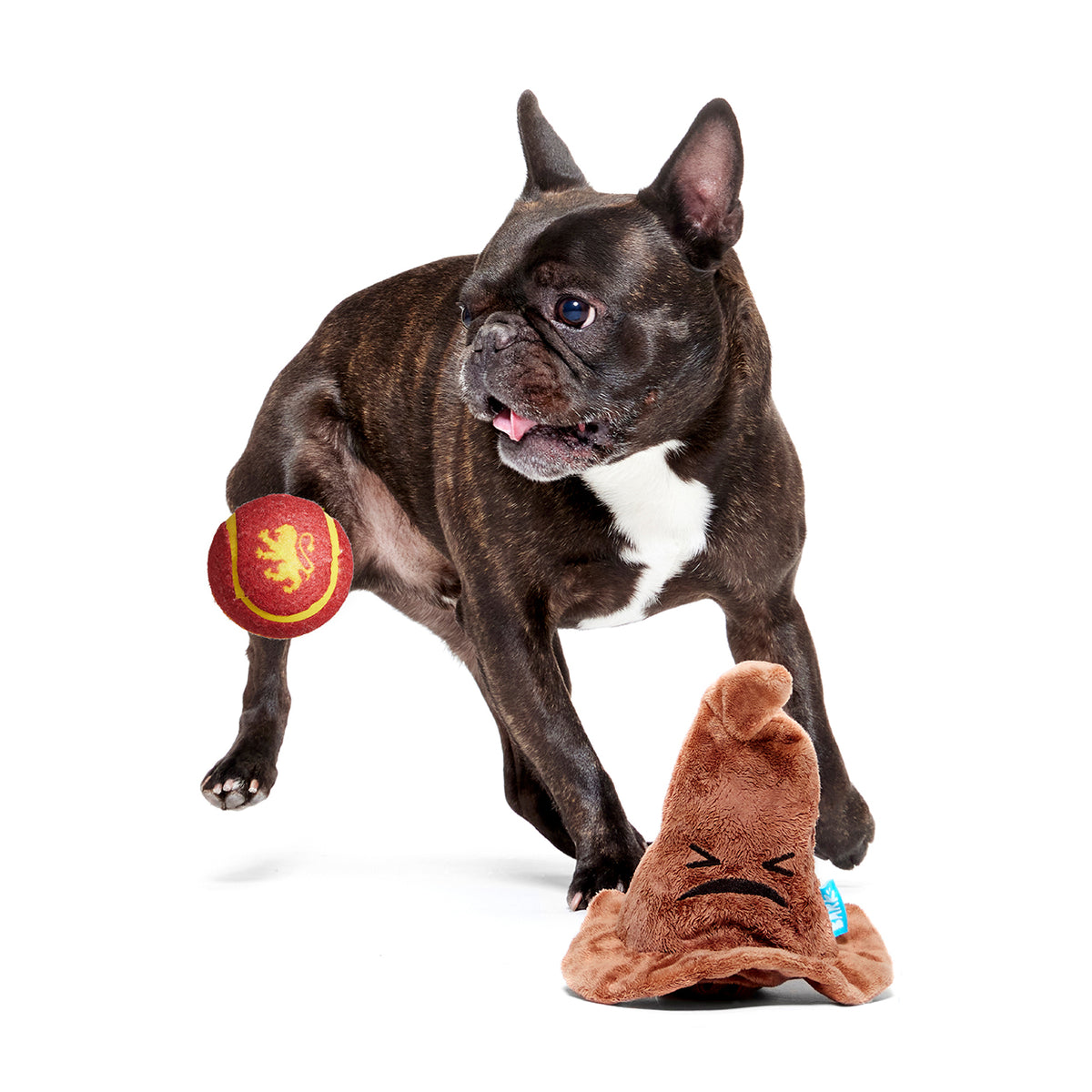 BARK X Harry Potter Sorting Hat Dog Toy