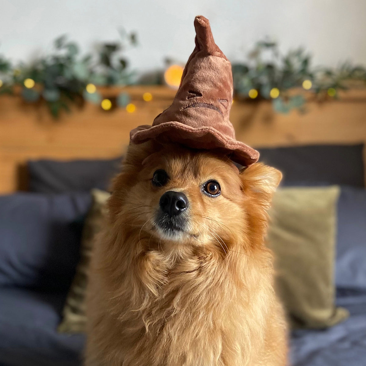 BARK X Harry Potter Sorting Hat Dog Toy