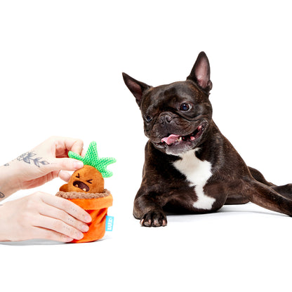 BARK X Harry Potter Mandrake Dog Toy