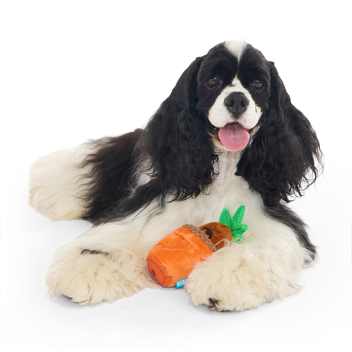 BARK X Harry Potter Mandrake Dog Toy