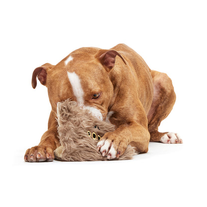 BARK X Harry Potter Book of Monsters Dog Toy