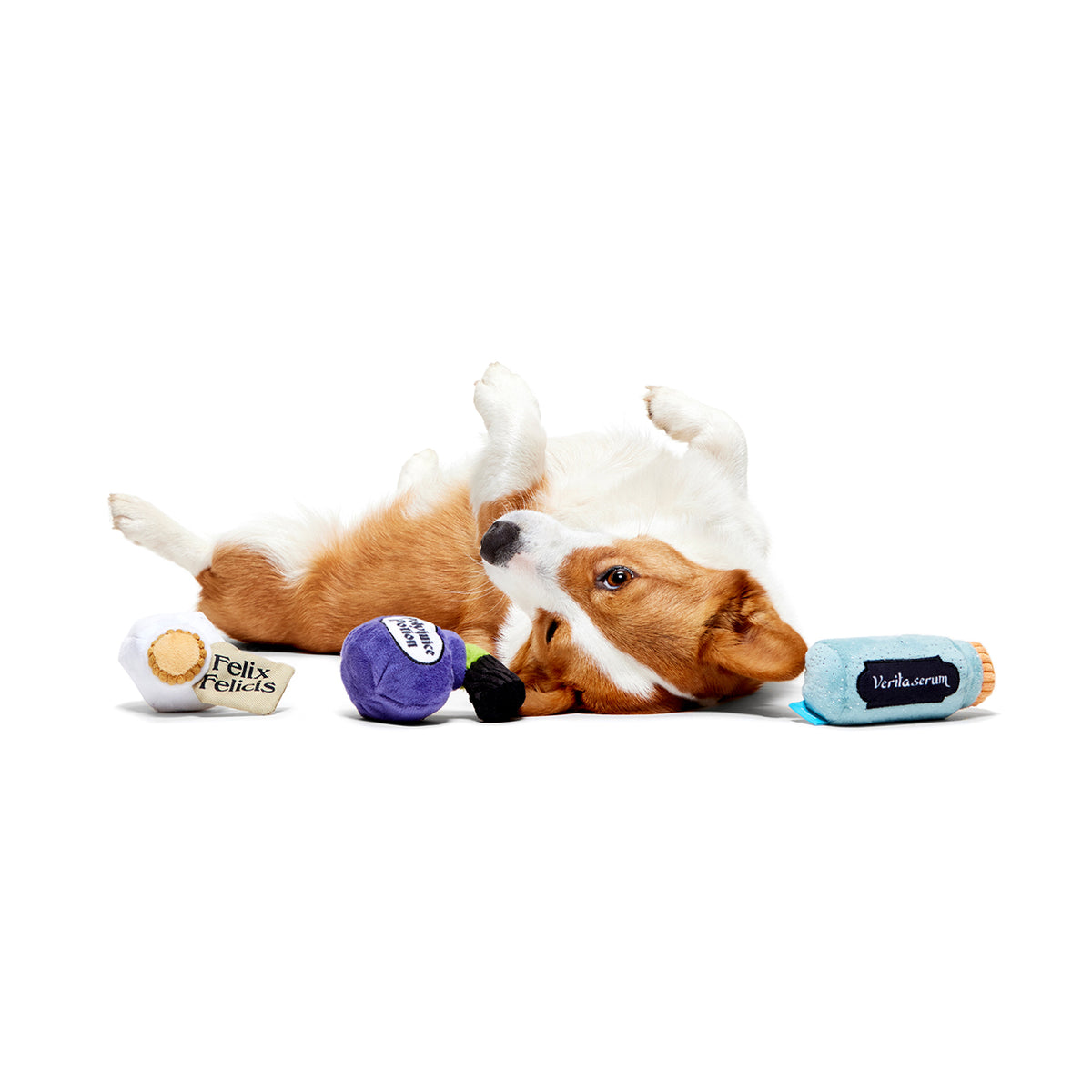 BARK X Harry Potter Potions Pack Up Dog Toy